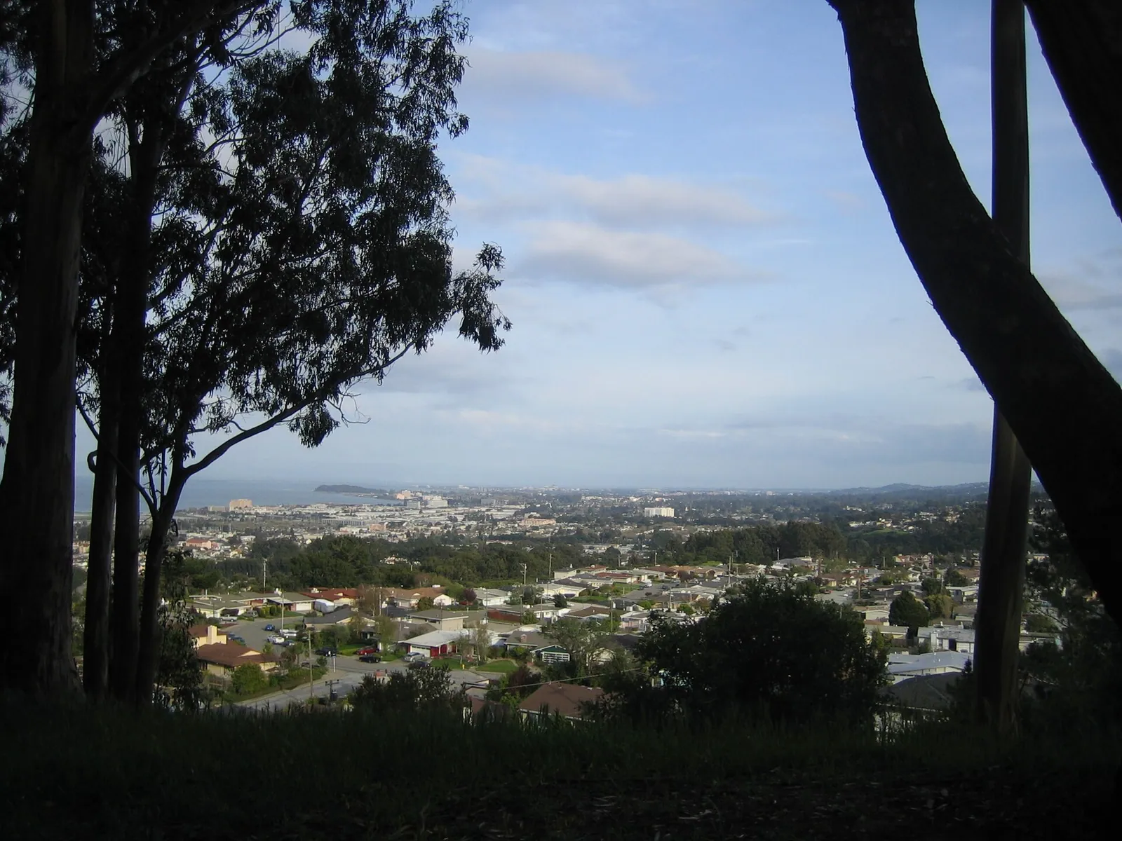 Millbrae, California, as viewed from Junipero Serra Park in San Bruno.