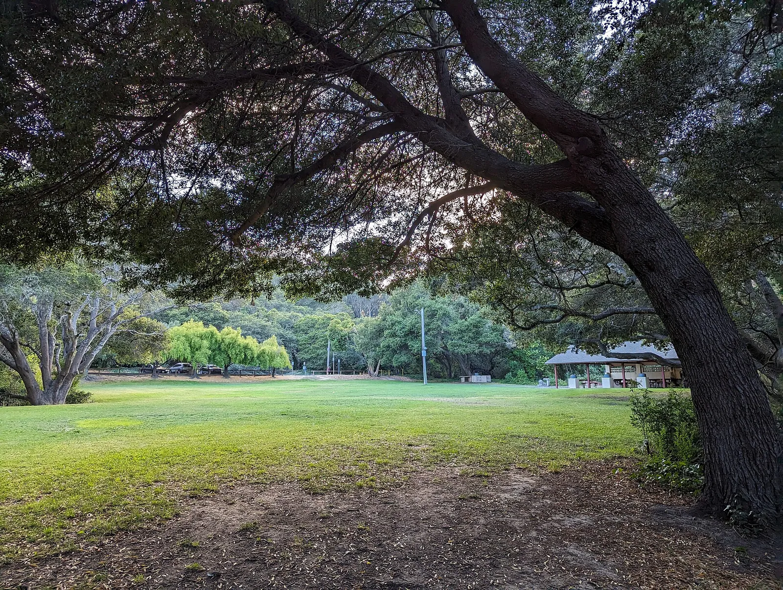City Park trail leading into Junipero Serra Park